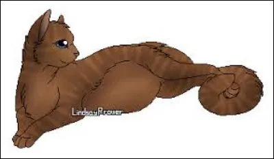 Qui est ce félin ?