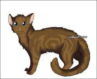 Qui est ce chat des clans ?