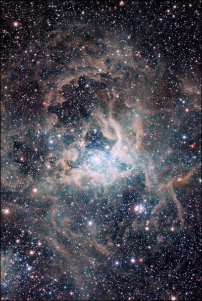 Que vous indiquera cette application ?