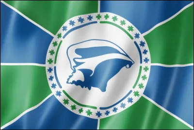 Quelle est la capitale de la Martinique ?