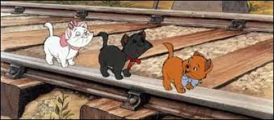 Dans le film, ils sont allés sur une voie ferrée et l'un d'eux est tombé, lequel ?