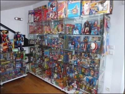 Par quel mot désigne-t-on la collection de jouets ?