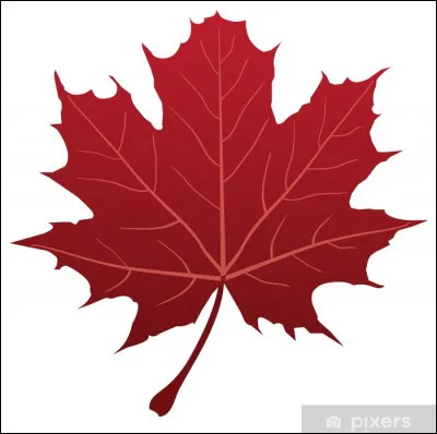 Vous trouverez énormément d'érables japonais qui prennent des couleurs vives durant l'automne ainsi que de nombreux autres érables dans le parc. Apparemment et sauf avis contraire, il n'y a pas d'érable rouge (Acer rubrum) sur le site. 
D'ailleurs, sur quel drapeau international retrouve-t-on cette feuille comme emblème ?