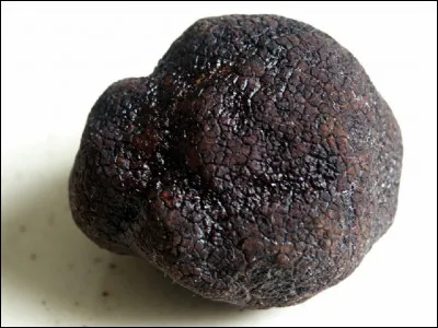 Dans quelle région la truffe noire est également nommée diamant noir ?