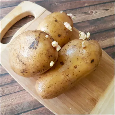 Quel est son aliment pr&eacute;f&eacute;r&eacute; ?