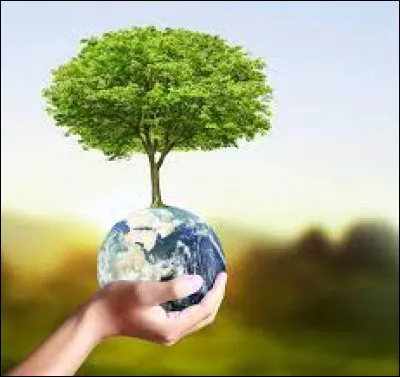 Quel est ton environnement préféré ?