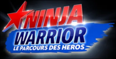 Depuis quelle année est diffusé Ninja Warrior sur TF1 ?