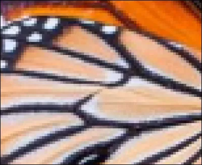 Parmi ces propositions quelle est celle qui correspond à l'image ?