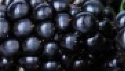 Qu'est-ce que c'est ?