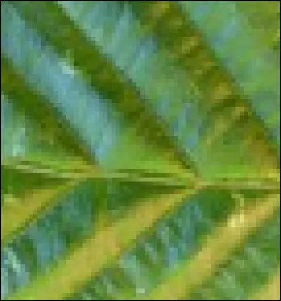 Qu'est-ce que c'est ?