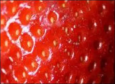 À quoi correspond cette image ?