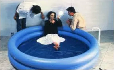 Qui chante "Pull marine" en 1983 ?