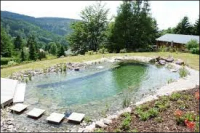 Quel est le principal avantage dune piscine naturelle ?