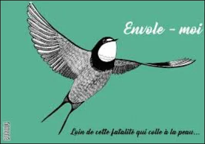 En 2012, avec quelle chanteuse M. Pokora a-t-il repris la chanson "Envole-moi" de Jean-Jacques Goldman ?