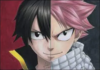 Qui est Zelef pour Natsu ?