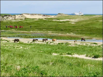Dans quel endroit aimerais-tu vivre ?