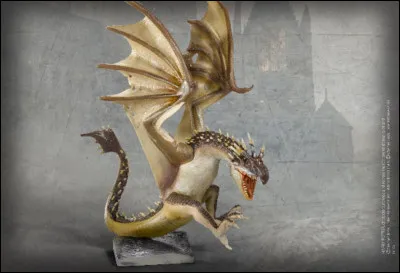 Quel dragon Harry doit-il affronter lors de la première tâche ?