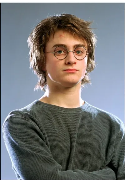 Sans le vouloir qui est le second champion de Poudlard ?