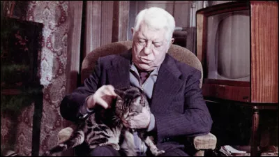 Quel cinéaste français a réalisé le film "Le Chat" (1970) avec Jean Gabin et Simone Signoret ?