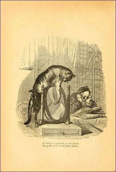 Qui est l'auteur de la fable "Le Chat et le miroir" ?