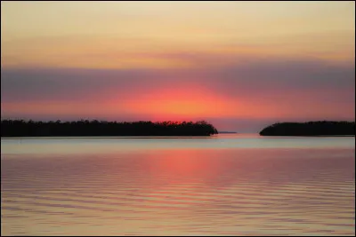 À qui doit-on le roman de science-fiction "Solaris" ?