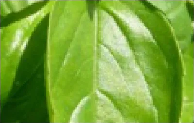 Et ça, qu'est-ce donc ?