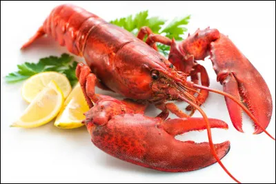 Quel est ce crustacé muni de pinces imposantes dont la chair très gustative est appréciée ?