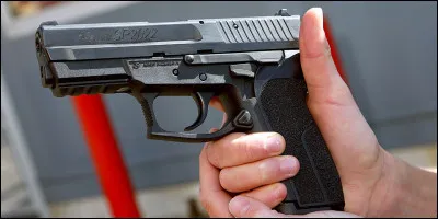 Pourquoi Zira veut tuer Simba ?