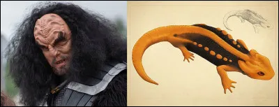 Les Klingons > Espèce humanoïde originaire de la planète Kronos, dont les marques osseuses ... (Complétez !)