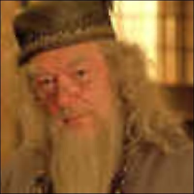 Que font Harry et Dumbledore lors des leçons de ce dernier ?