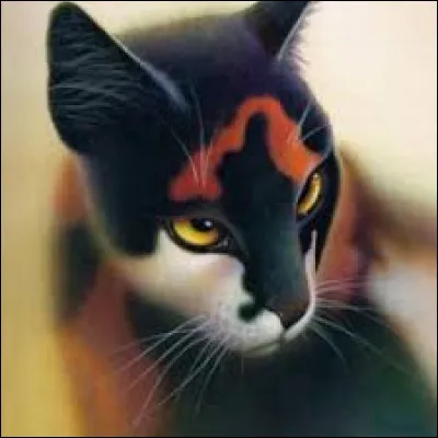 Les jours passent, et pendant deux lunes entières, vous vous retrouvez chaque soir. Mais un jour, Nuage de Chardon, ton frère, t'annonce qu'il t'a vue avec Nuage de Pissenlit la nuit précédente. Il te reproche de ne pas être loyale à ton clan. Comment réagis-tu ?