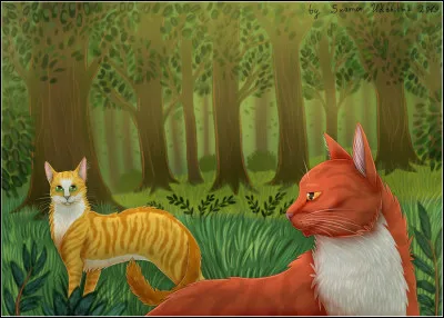 Les jours passent, et Nuage d'Orage se montre de plus en plus attentionné avec toi. Tu te rends bien compte qu'il t'aime plus que bien. Comment réagis-tu ?