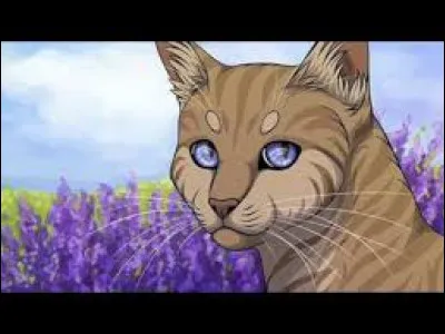 Fort heureusement, les trois lunes suivantes se déroulent sans encombre, et toujours dans un parfait bonheur, si bien que tu oublies un peu ton songe. Mais un jour, au cours d'une Assemblée, tu rencontres Nuage de Pissenlit, devenu il de Pissenlit. Il pose sur toi un regard froid. Comment réagis-tu ?