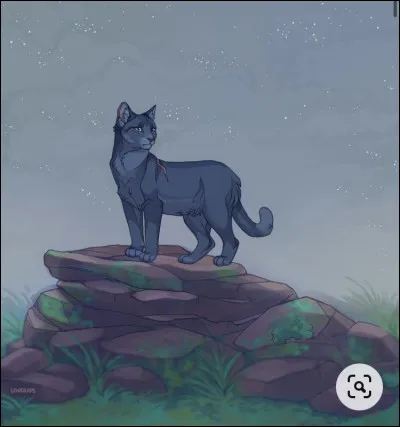 Le lendemain, tu te rends compte que tu es épuisée, ces temps-ci, et que tu es plus pataude que d'habitude. Comment réagis-tu ?