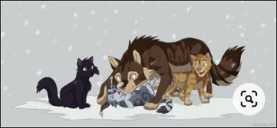 Moustaches d'Orage est fou de bonheur à la vue des trois boules de poils. Mais la nuit suivante, dans la pouponnière, tu refais le même cauchemar ! Cette fois ci, tu entends les sons encore plus distinctement ! Comment réagis-tu ?