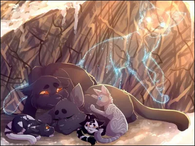 Avertis par le vacarme, Plume de Hêtre et Patte de Hibou arrivent, et t'aident à ramener la dépouille de ton compagnon au camp. Une fois revenue, tu veilles Moustaches d'Orage pendant toute la journée, puis la nuit, avant de te réfugier dans la pouponnière. Tu décides alors de baptiser tes fils. Quel nom donnes-tu au mâle gris comme la cendre ?