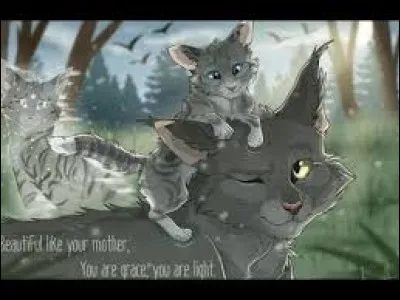 Tu baptises les deux autres Petite Bourrasque et Petit Roc. Puis tu sombres dans le sommeil. Tu rêves alors de Moustaches d'Orage ! Il te dit que tu as choisi de très beaux noms pour les petits, et que tu ne dois pas être triste trop longtemps, qu'il veillera sur vous depuis la Toison Argentée.
Comment réagis-tu ?