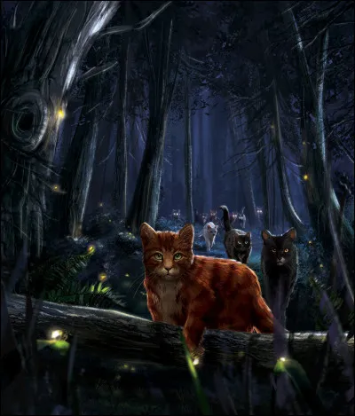 Le soir venu, une fois arrivée sur l'île, tu rencontres des chats de tous clans, de toutes tailles, et de toutes les couleurs. Quelle est la première chose que tu fais ?