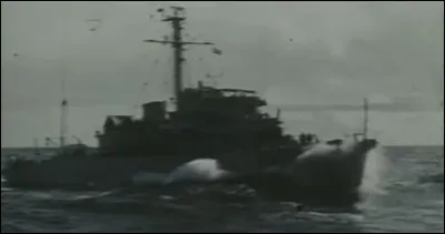 Complétez : 
"Sans but et sans"