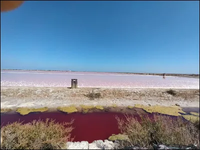Que t'évoque cette image ?