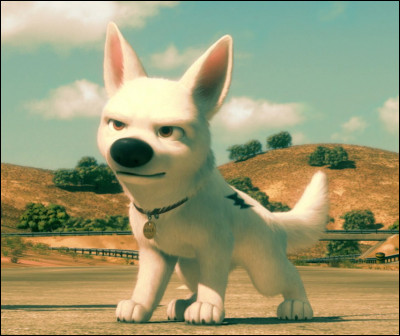 Comment s'appelle le dessin animé dans lequel ce chien est une star de la télé ?