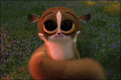 D'où vient cet animal ?