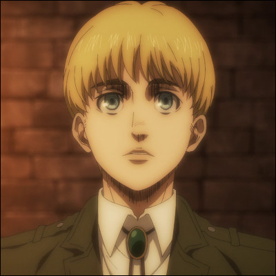 Quel est le nom de famille de Armin ?