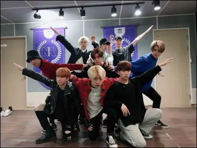 En quelle ann&eacute;e le groupe NOIR a d&eacute;but&eacute; ?