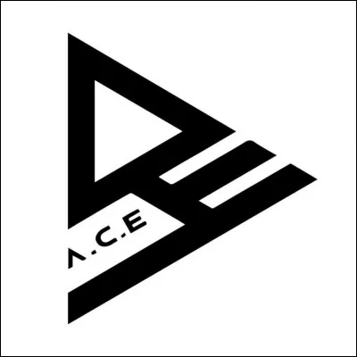 Combien de membres comporte le groupe A.C.E ?