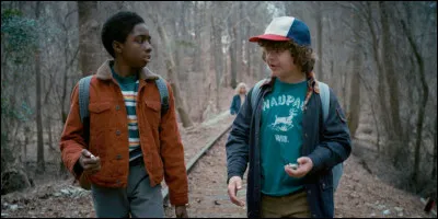 De qui sont amoureux Lucas et Dustin dans la saison 2 ?