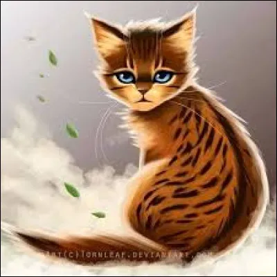 Tu trouves un chaton abandonné...