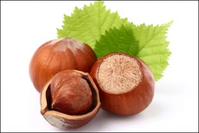 Quel est ce fruit à coque ?