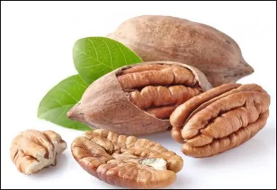 Dans quels pays produit-on principalement la noix de pécan ?