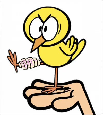 Comment sappelle loiseau de compagnie ?